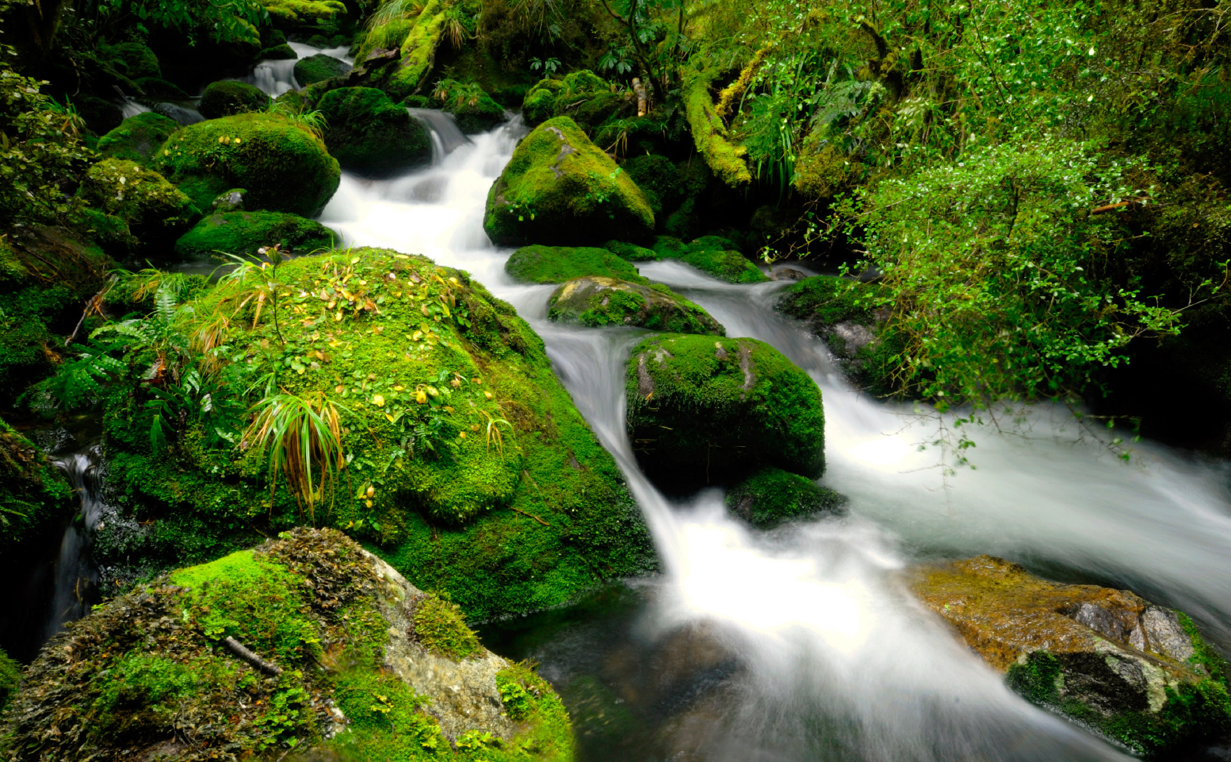 water.jpg
